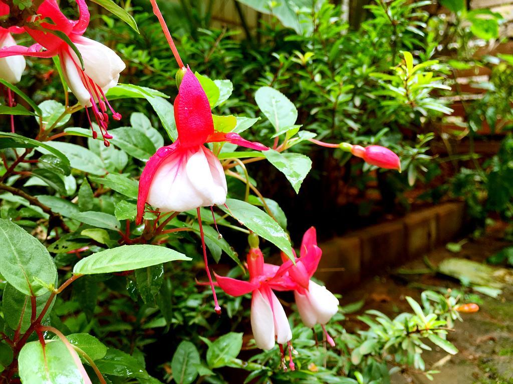 The Hump-Mulan Guest House Kunming Luaran gambar